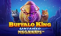 Buffalo King Untamed